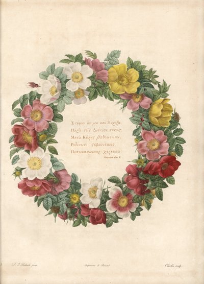 Coroa de rosas com um lema grego - Eau forte de Charlin, depois de uma ilustração de Pierre Joseph Redoute (1759-1840), de Les Roses de Pierre Joseph Redouté