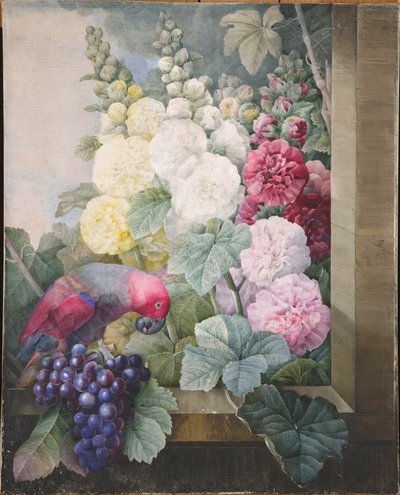 Malvas, uvas e um papagaio, 1836. de Pierre Joseph Redouté