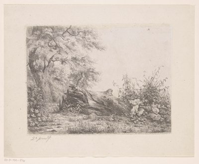 Árvore caída na borda de uma floresta
Cinco provas de gravura (título da série) de Pierre Louis Dubourcq