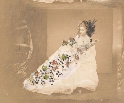 O susto, 1861-67. de Pierre Louis Pierson