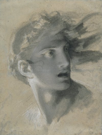 Cabeça de Vingança de Pierre Paul Prud