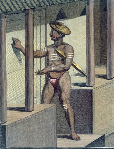 Carépatré Pandaron, gravado por Poisson, de &39;Journey to India and China&39; de Pierre Sonnerat