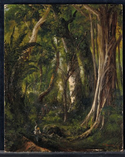 Viajantes em uma floresta cubana (óleo no painel) de Pierre Toussaint Frédéric Mialhe