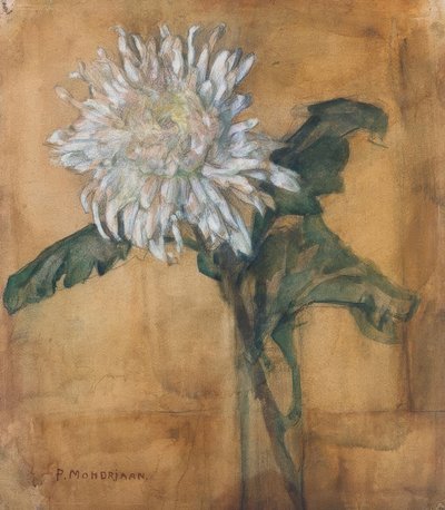 Crisântemo de Piet Mondrian