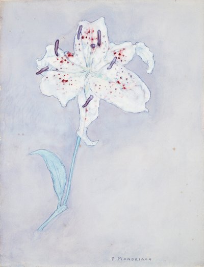 Lily, c.1920-25 (aquarela sobre papel) de Piet Mondrian