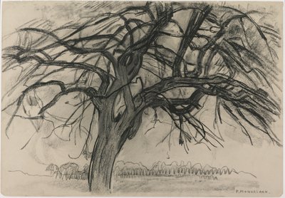 Estudo Preliminar para a Noite: A Árvore Vermelha, 1908 (lápis preto e carvão sobre papel) de Piet Mondrian
