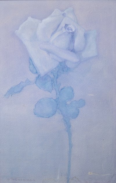 Rosa branca de Piet Mondrian