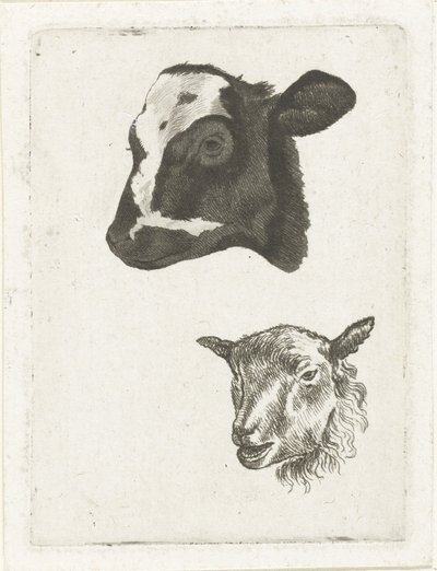Cabeça de bezerro e ovelha de pêlo preto de Pieter Barbiers (IV)