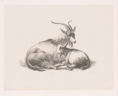 Buck e uma cabra de Pieter Bartholomeusz. Barbiers