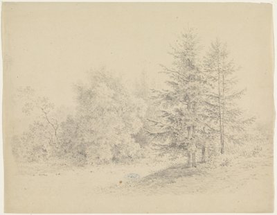 Vista da floresta com pinheiros de Pieter Bartholomeusz. Barbiers