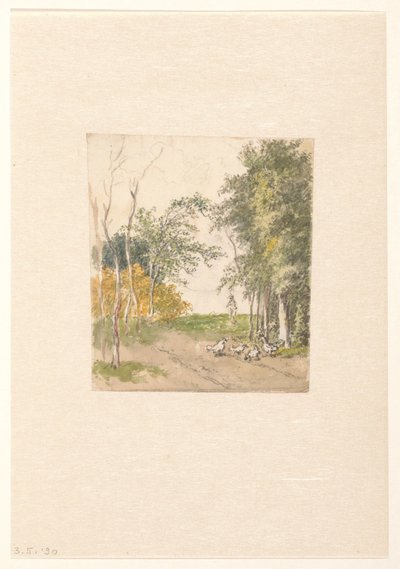 Paisagem com galinhas ao longo da estrada de Pieter Bartholomeusz. Barbiers