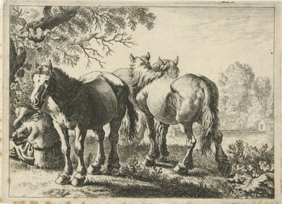 Três cavalos e um agricultor
Vários animais (título da série) de Pieter Bodding van Laer