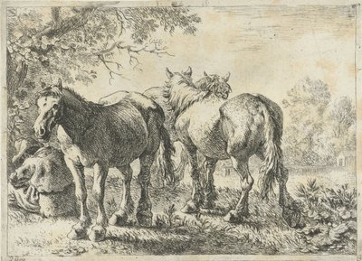 Três cavalos e um agricultor
Vários animais (título da série) de Pieter Bodding van Laer