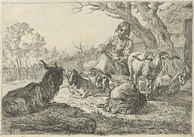 Pastora no meio de cabras e ovelhas
Vários animais (título da série) de Pieter Bodding van Laer