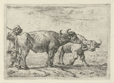 Dois búfalos e um pastor
Vários animais (título da série) de Pieter Bodding van Laer