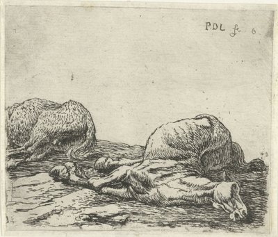 Dois cavalos mortos
Cavalos (título da série) de Pieter Bodding van Laer