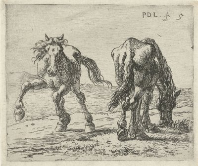 Dois cavalos em um prado Cavalos (título da série) de Pieter Bodding van Laer