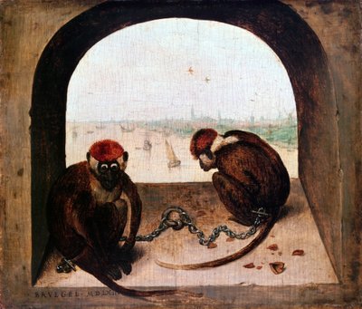 Dois Macacos, 1562 de Pieter Bruegel the Elder