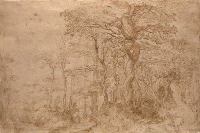 Sylvan Landscape with Five Bears de Pieter Bruegel the Elder