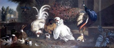 Um pavão, frangos, patos e um martim-pescador de Pieter Casteels