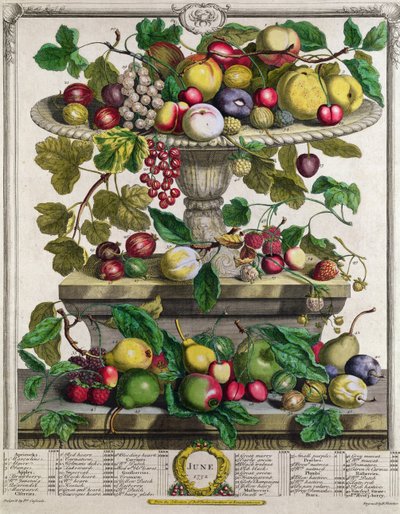 Junho, de &39;Twelve Months of Fruits&39;, de Robert Furber (c.1674-1756) gravado por Henry Fletcher, 1732 (gravura colorida) de Pieter Casteels
