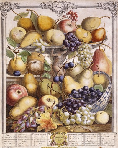 Novembro de 1732, mostrando maçãs sazonais, peras, uvas, etc. de Pieter Casteels