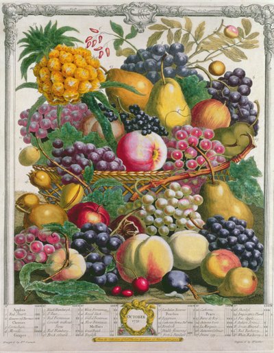 Outubro, de &39;Doze Meses de Frutos&39;, de Robert Furber (c.1674-1756) gravado por Henry Fletcher, 1732 (gravado a cores) de Pieter Casteels