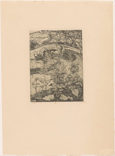 Paisagem montanhosa com ponte em Bath de Pieter Dupont