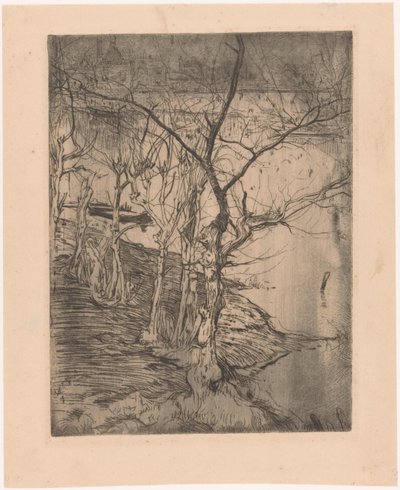 Árvores nuas junto à água de Pieter Dupont