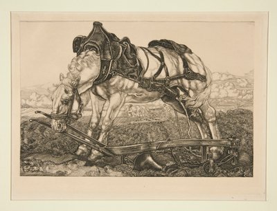 Cavalo de trabalho de Pieter Dupont