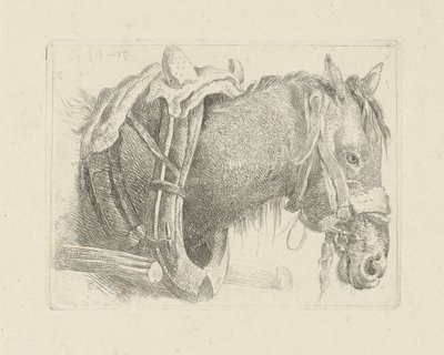 Estudo da cabeça de um cavalo de Pieter Gerardus van Os