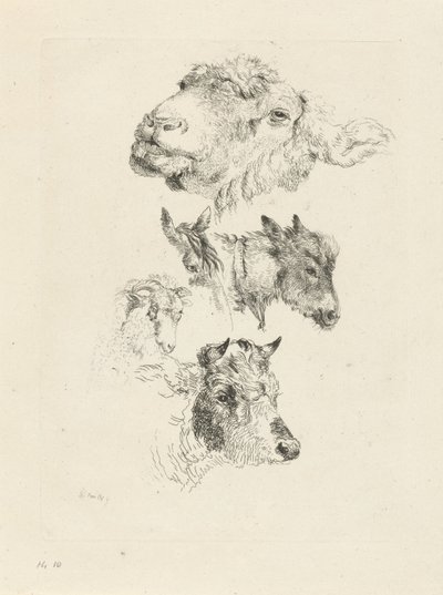 Folha de estudo com cabeças de ovelha, cavalo, burro, carneiro e touro de Pieter Gerardus van Os