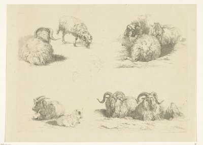 Quatro espectáculos com ovelhas e cabras
Ovinos e caprinos (título da série) de Pieter Gerardus van Os
