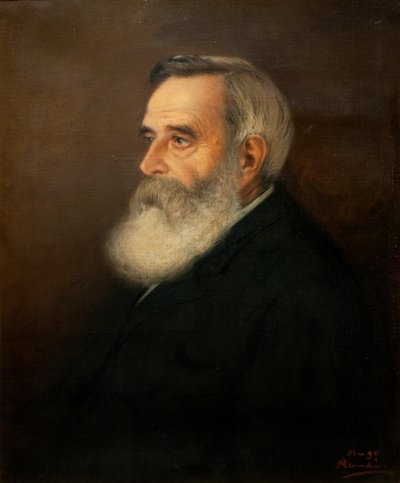 Dr Brown de Pieter Hugo Naudé