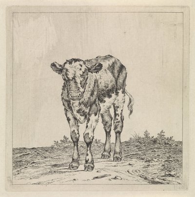 Paisagem com bezerro de Pieter Janson
