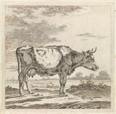Paisagem com uma vaca à beira-mar de Pieter Janson
