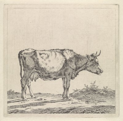 Paisagem com uma vaca à beira-mar de Pieter Janson