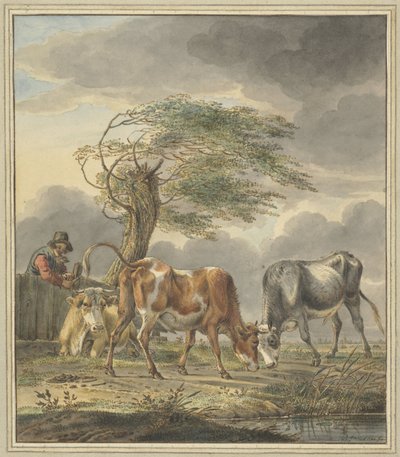 Dois touros jovens e uma vaca de Pieter Janson