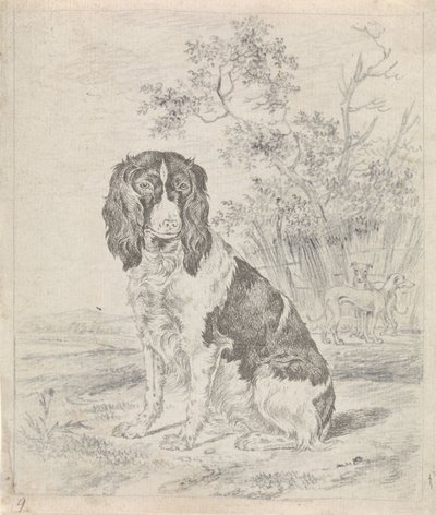 Cachorro perdiz sentado de Pieter Janson