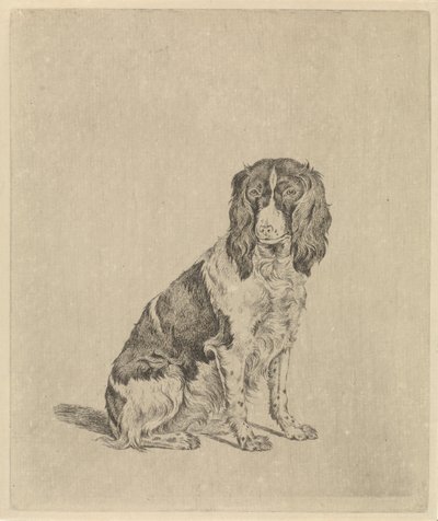 Cão sentado de perdiz de Pieter Janson