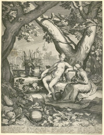 Vertumnus emprestando a figura de uma velha para ganhar Pomonas Love, 1605 (gravura em papel) de Pieter Janszoon Saenredam