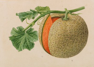 Originais de publicações de horticultura e arboricultura, 1878-1881. de Pieter Joseph de Pannemaeker