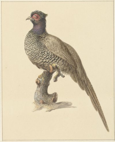 Faisão de caça de Pieter Pietersz. Barbiers