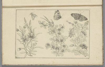 Três ramos de flores e três borboletas
Flores e insectos chineses (título da série) de Pieter Schenk (II)