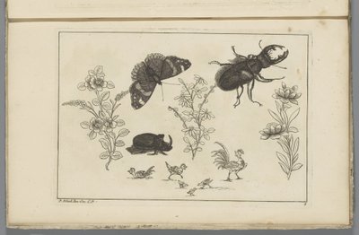 Três ramos de flores com besouro rinoceronte, borboleta e tor Flores e insetos chineses (título da série) de Pieter Schenk (II)