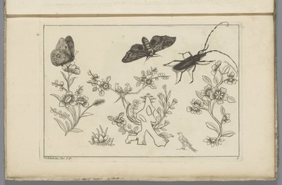 Três ramos de flores com pássaros, borboletas e um insecto
Flores e insectos chineses (título da série) de Pieter Schenk (II)