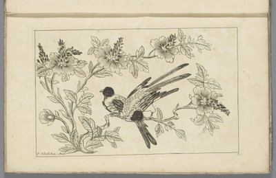 Duas aves num ramo em flor
Flores e pássaros chineses (título da série) de Pieter Schenk (II)