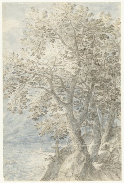 Árvores em uma parede de rocha íngreme de Pieter Stevens (I)