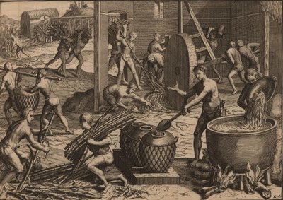 Os escravos processam cana-de-açúcar e produzem açúcar. de Pieter Van der Aa
