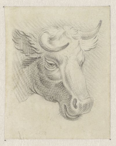 Cabeça de uma vaca de Pieter de Goeje